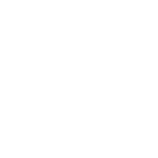 Radio Master
